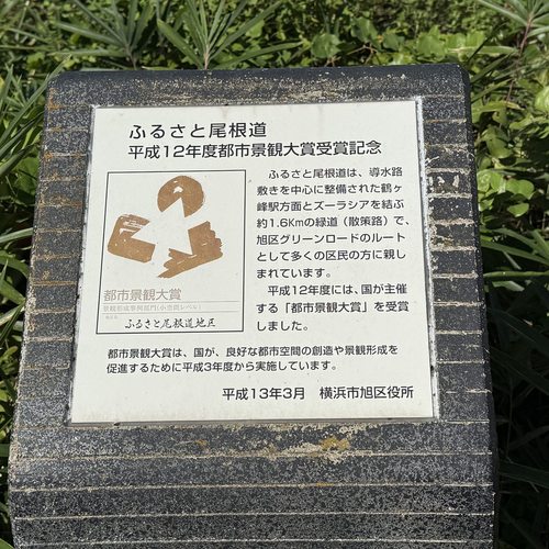 ふるさと尾根道緑道（横浜市旭区）