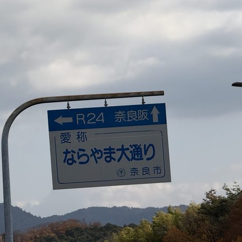 ならやま大通り